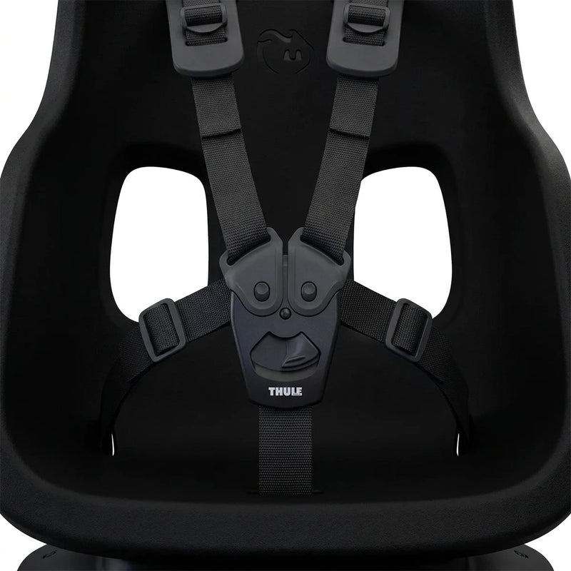 5-point harness
