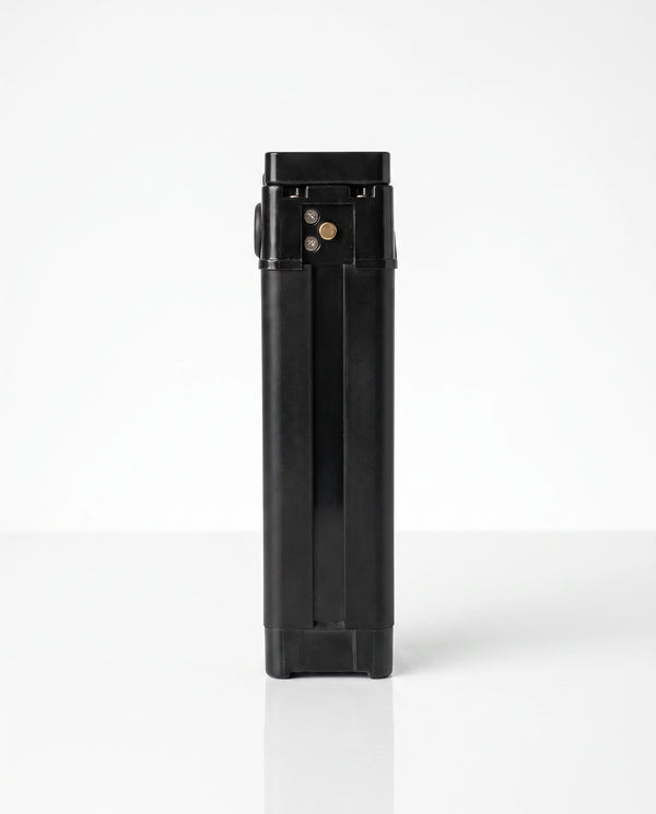 Battery — 48V 12Ah 576Wh