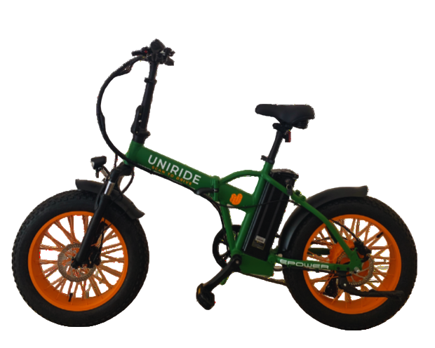 CARGO E-BIKE