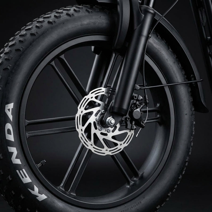 Front and rear hydraulic brakes