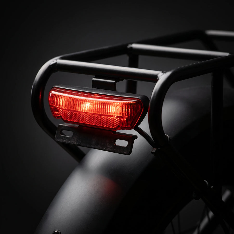 Rear brake light and turn signals